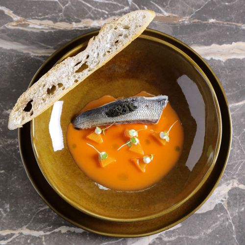 Bio Soup Plate Stoneware Ø9.84in 37.2oz Amber