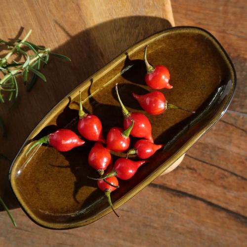 Organic Shallow Oval Platter Stoneware 6.5x3.15in Amber