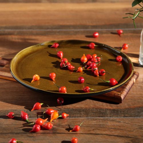 Bio Dinner Plate Stoneware Ø11.42in Amber
