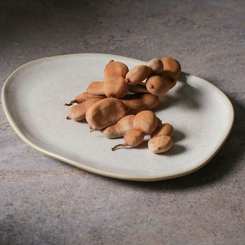 Organic Oval Dinner Plate Stoneware 12.2x9.45x0.98in Latte