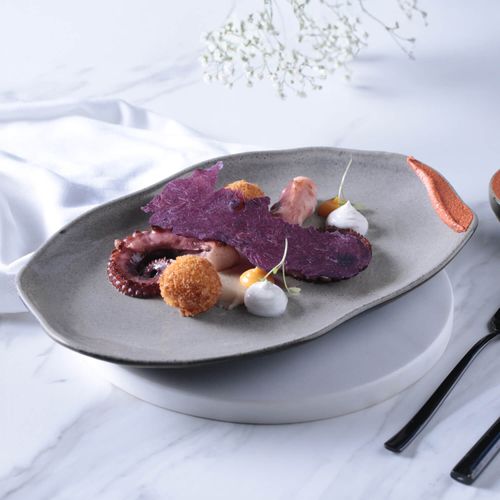 Bio Shallow Oval Platter Stoneware 11.81x7.87in Dust