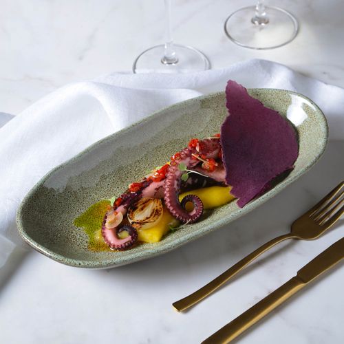 Organic Deep Oval Platter Stoneware 12.6x6.3in 21.98oz Croco
