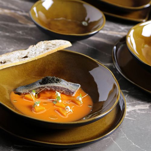 Bio Soup Plate Stoneware Ø8.86in 28.07oz Amber